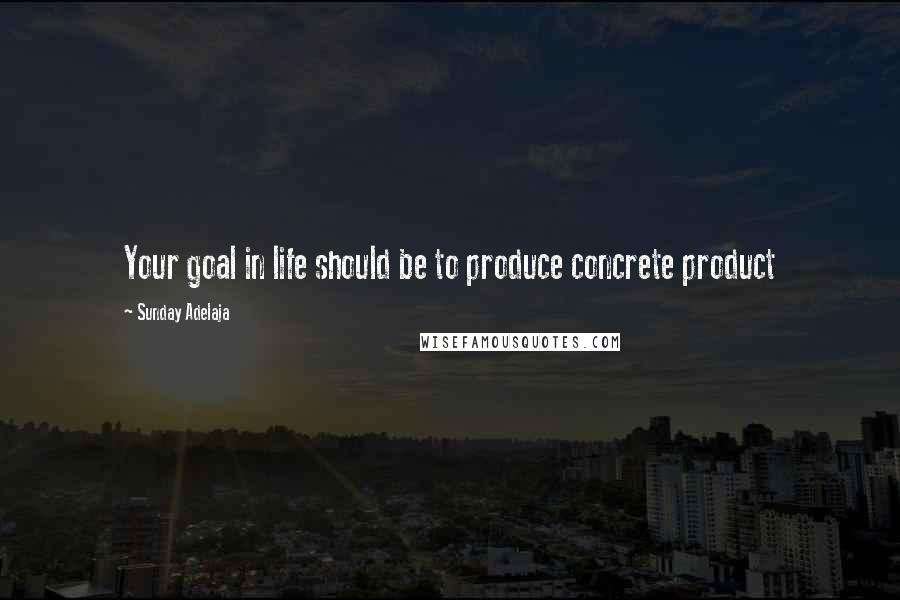 Sunday Adelaja Quotes: Your goal in life should be to produce concrete product