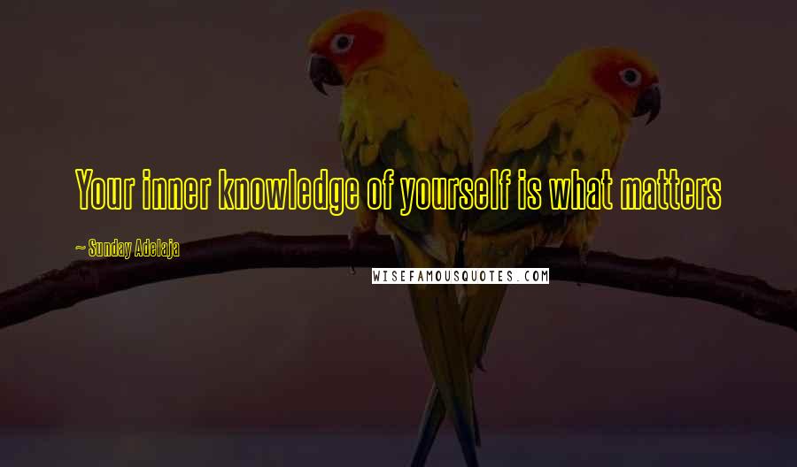 Sunday Adelaja Quotes: Your inner knowledge of yourself is what matters