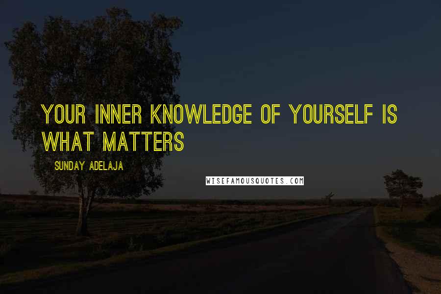 Sunday Adelaja Quotes: Your inner knowledge of yourself is what matters