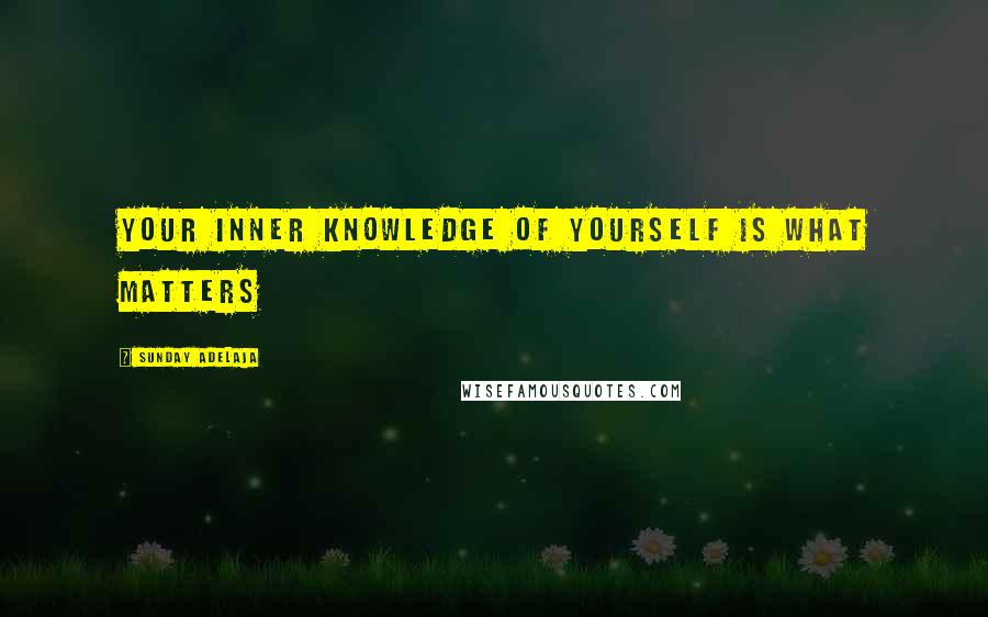 Sunday Adelaja Quotes: Your inner knowledge of yourself is what matters