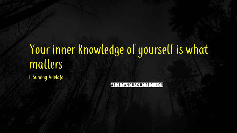 Sunday Adelaja Quotes: Your inner knowledge of yourself is what matters