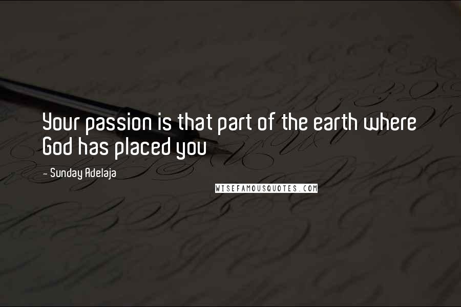 Sunday Adelaja Quotes: Your passion is that part of the earth where God has placed you