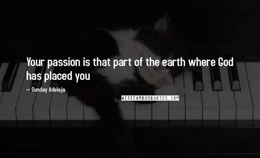 Sunday Adelaja Quotes: Your passion is that part of the earth where God has placed you