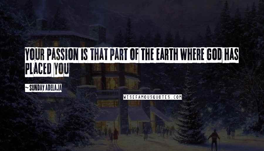 Sunday Adelaja Quotes: Your passion is that part of the earth where God has placed you