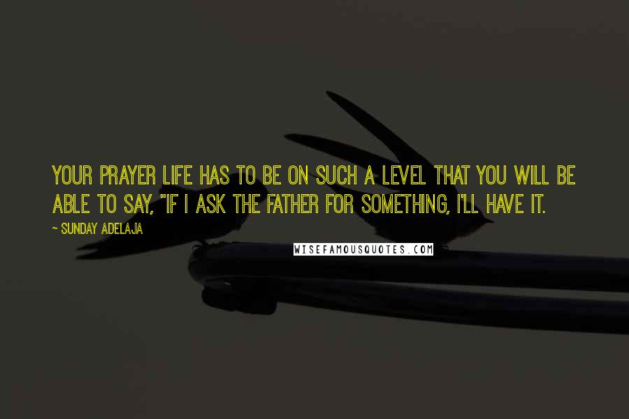 Sunday Adelaja Quotes: Your prayer life has to be on such a level that you will be able to say, "If I ask the Father for something, I'll have it.