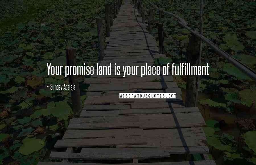 Sunday Adelaja Quotes: Your promise land is your place of fulfillment