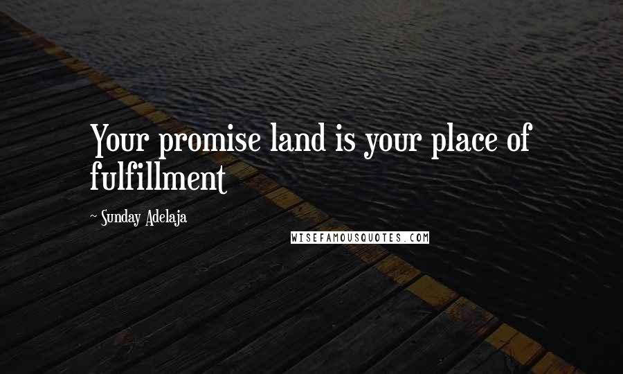 Sunday Adelaja Quotes: Your promise land is your place of fulfillment