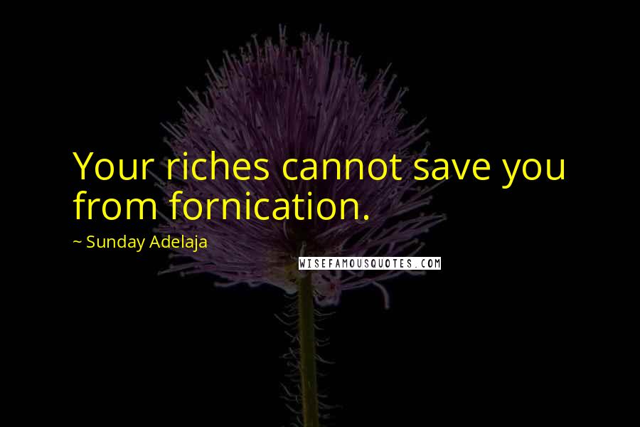 Sunday Adelaja Quotes: Your riches cannot save you from fornication.