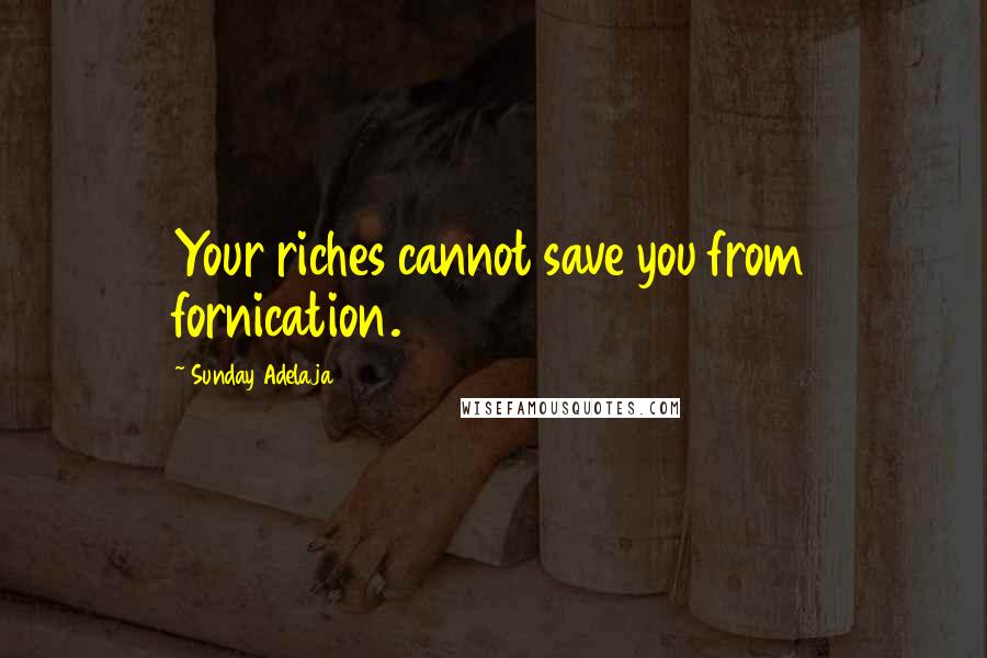 Sunday Adelaja Quotes: Your riches cannot save you from fornication.