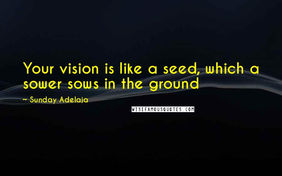 Sunday Adelaja Quotes: Your vision is like a seed, which a sower sows in the ground