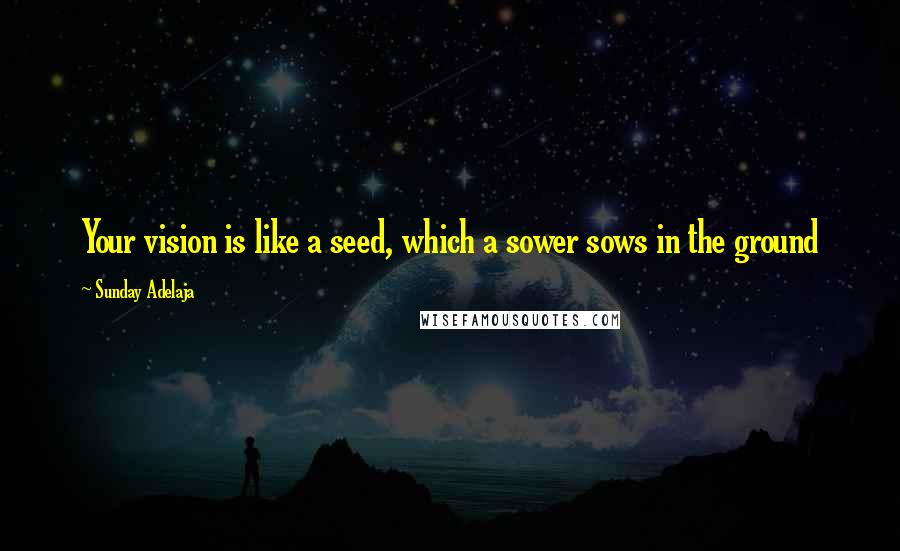 Sunday Adelaja Quotes: Your vision is like a seed, which a sower sows in the ground
