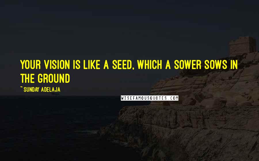 Sunday Adelaja Quotes: Your vision is like a seed, which a sower sows in the ground