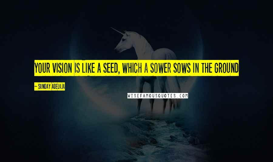 Sunday Adelaja Quotes: Your vision is like a seed, which a sower sows in the ground