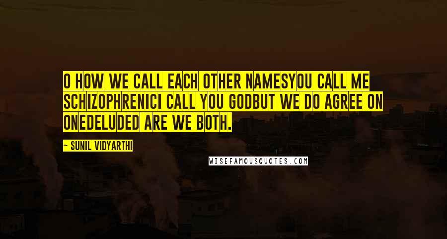 Sunil Vidyarthi Quotes: O how we call each other namesYou call me schizophrenicI call you GodBut we do agree on oneDeluded are we both.