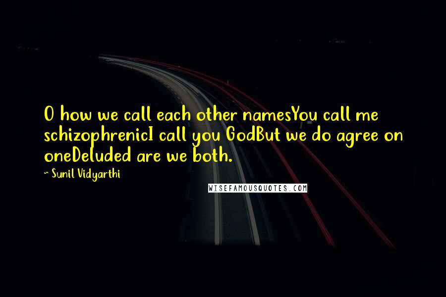 Sunil Vidyarthi Quotes: O how we call each other namesYou call me schizophrenicI call you GodBut we do agree on oneDeluded are we both.