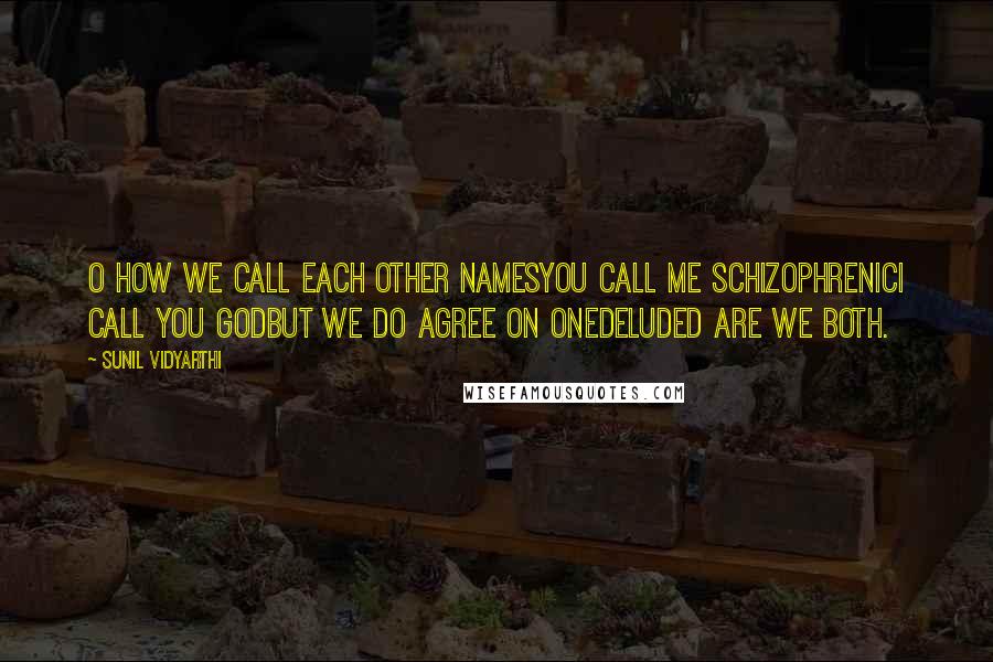 Sunil Vidyarthi Quotes: O how we call each other namesYou call me schizophrenicI call you GodBut we do agree on oneDeluded are we both.