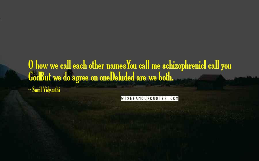 Sunil Vidyarthi Quotes: O how we call each other namesYou call me schizophrenicI call you GodBut we do agree on oneDeluded are we both.