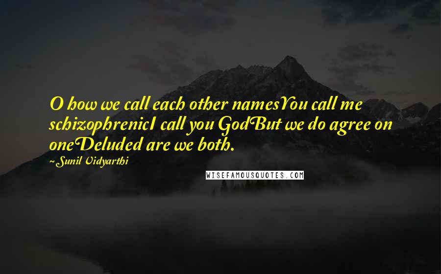 Sunil Vidyarthi Quotes: O how we call each other namesYou call me schizophrenicI call you GodBut we do agree on oneDeluded are we both.