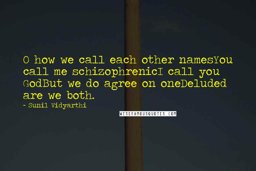 Sunil Vidyarthi Quotes: O how we call each other namesYou call me schizophrenicI call you GodBut we do agree on oneDeluded are we both.