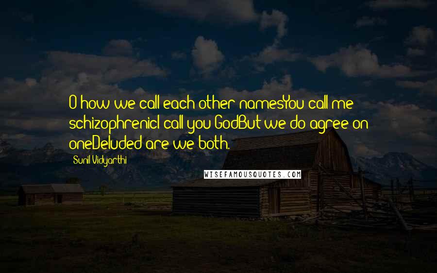 Sunil Vidyarthi Quotes: O how we call each other namesYou call me schizophrenicI call you GodBut we do agree on oneDeluded are we both.