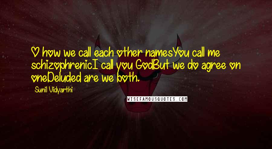 Sunil Vidyarthi Quotes: O how we call each other namesYou call me schizophrenicI call you GodBut we do agree on oneDeluded are we both.