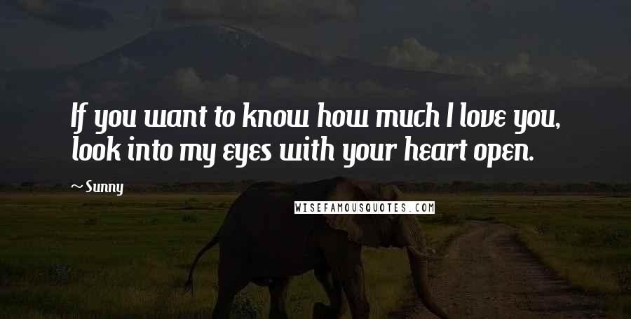 Sunny Quotes: If you want to know how much I love you, look into my eyes with your heart open.