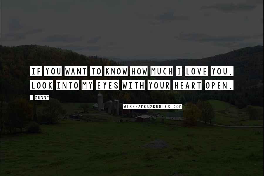 Sunny Quotes: If you want to know how much I love you, look into my eyes with your heart open.