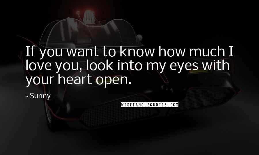 Sunny Quotes: If you want to know how much I love you, look into my eyes with your heart open.
