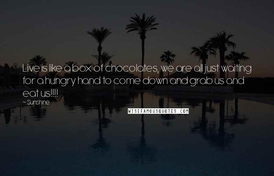 Sunshine Quotes: Live is like a box of chocolates, we are all just waiting for a hungry hand to come down and grab us and eat us!!!!