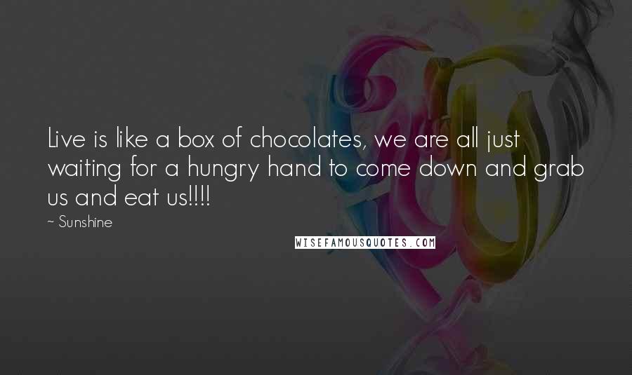 Sunshine Quotes: Live is like a box of chocolates, we are all just waiting for a hungry hand to come down and grab us and eat us!!!!