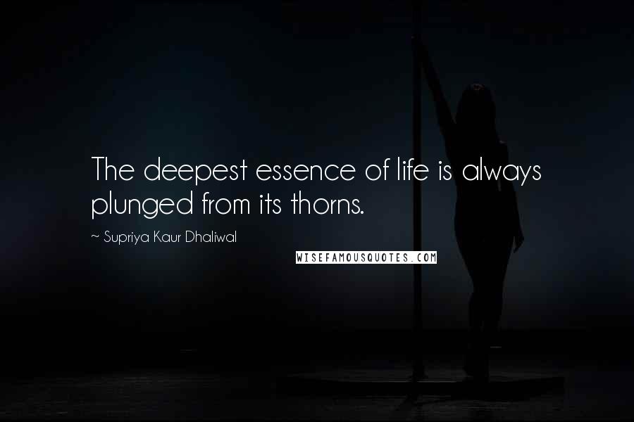 Supriya Kaur Dhaliwal Quotes: The deepest essence of life is always plunged from its thorns.