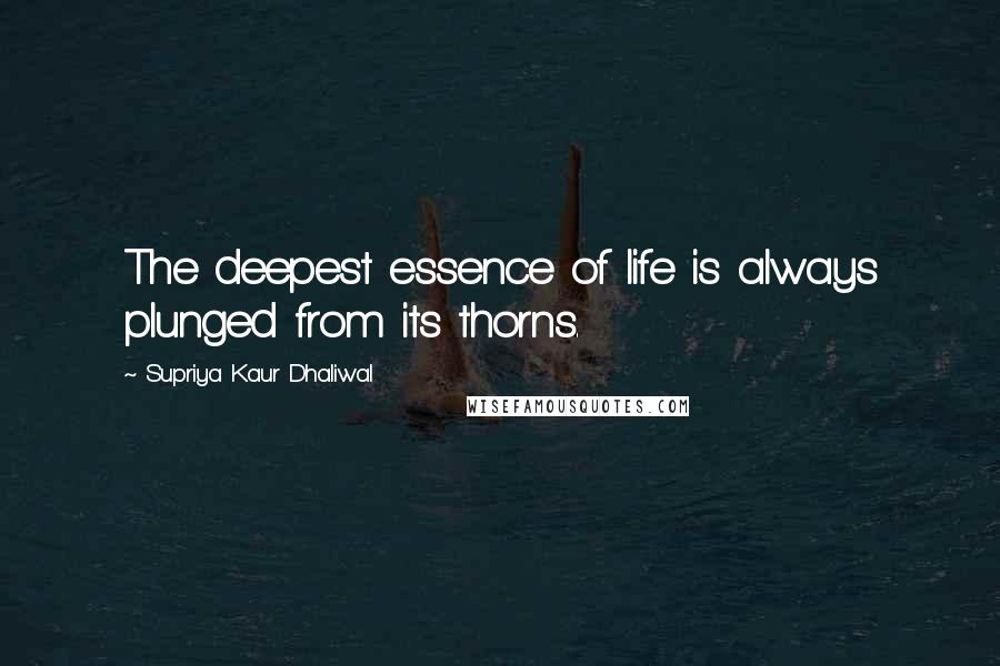 Supriya Kaur Dhaliwal Quotes: The deepest essence of life is always plunged from its thorns.