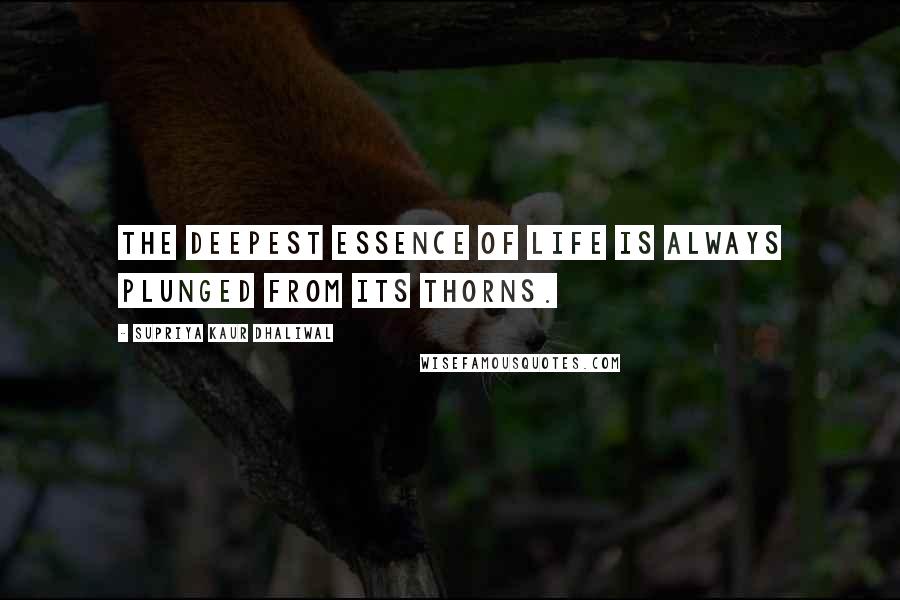 Supriya Kaur Dhaliwal Quotes: The deepest essence of life is always plunged from its thorns.