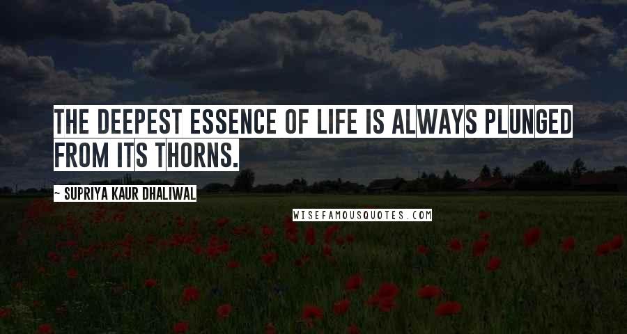 Supriya Kaur Dhaliwal Quotes: The deepest essence of life is always plunged from its thorns.