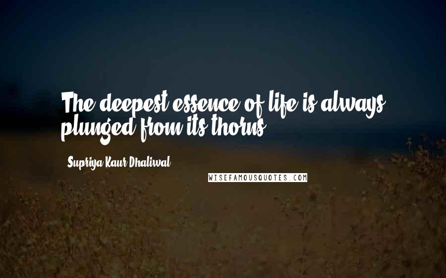 Supriya Kaur Dhaliwal Quotes: The deepest essence of life is always plunged from its thorns.