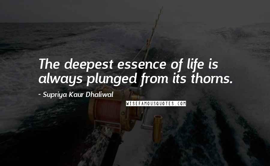 Supriya Kaur Dhaliwal Quotes: The deepest essence of life is always plunged from its thorns.