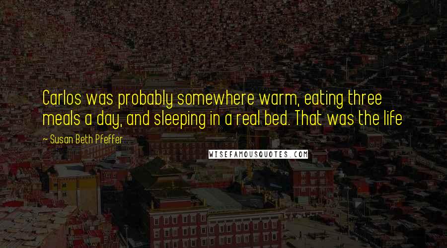 Susan Beth Pfeffer Quotes: Carlos was probably somewhere warm, eating three meals a day, and sleeping in a real bed. That was the life