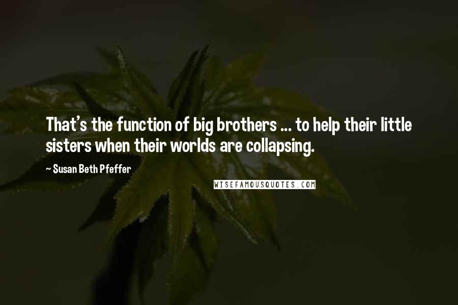 Susan Beth Pfeffer Quotes: That's the function of big brothers ... to help their little sisters when their worlds are collapsing.