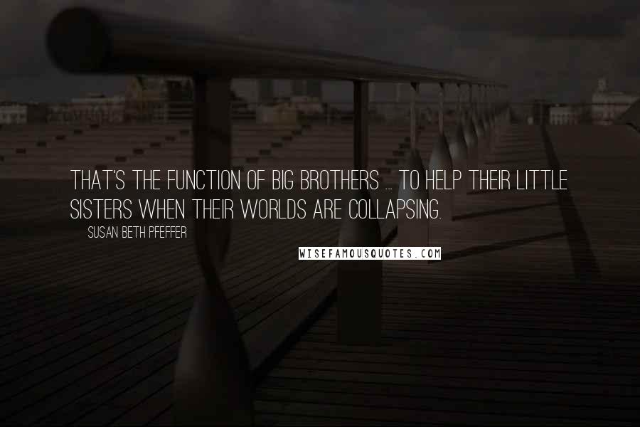 Susan Beth Pfeffer Quotes: That's the function of big brothers ... to help their little sisters when their worlds are collapsing.