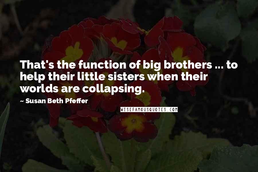 Susan Beth Pfeffer Quotes: That's the function of big brothers ... to help their little sisters when their worlds are collapsing.