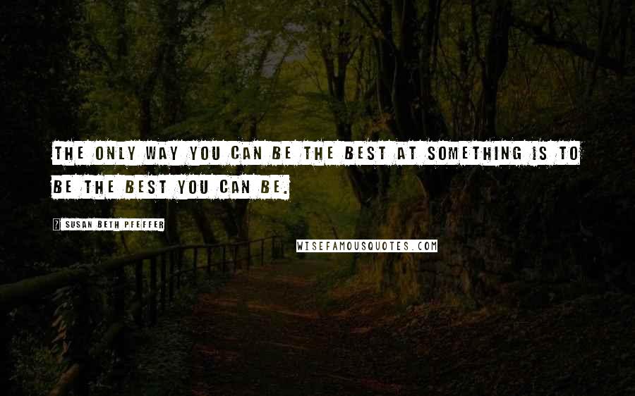 Susan Beth Pfeffer Quotes: The only way you can be the best at something is to be the best you can be.