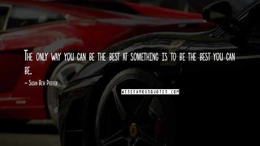 Susan Beth Pfeffer Quotes: The only way you can be the best at something is to be the best you can be.