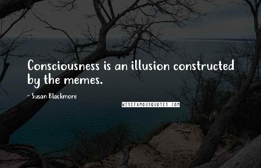 Susan Blackmore Quotes: Consciousness is an illusion constructed by the memes.