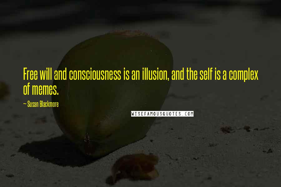 Susan Blackmore Quotes: Free will and consciousness is an illusion, and the self is a complex of memes.