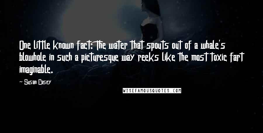 Susan Casey Quotes: One little known fact: The water that spouts out of a whale's blowhole in such a picturesque way reeks like the most toxic fart imaginable.