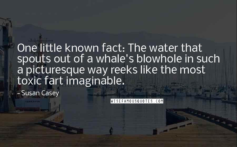 Susan Casey Quotes: One little known fact: The water that spouts out of a whale's blowhole in such a picturesque way reeks like the most toxic fart imaginable.
