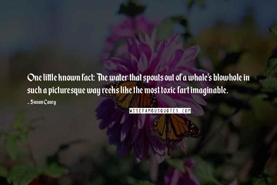 Susan Casey Quotes: One little known fact: The water that spouts out of a whale's blowhole in such a picturesque way reeks like the most toxic fart imaginable.