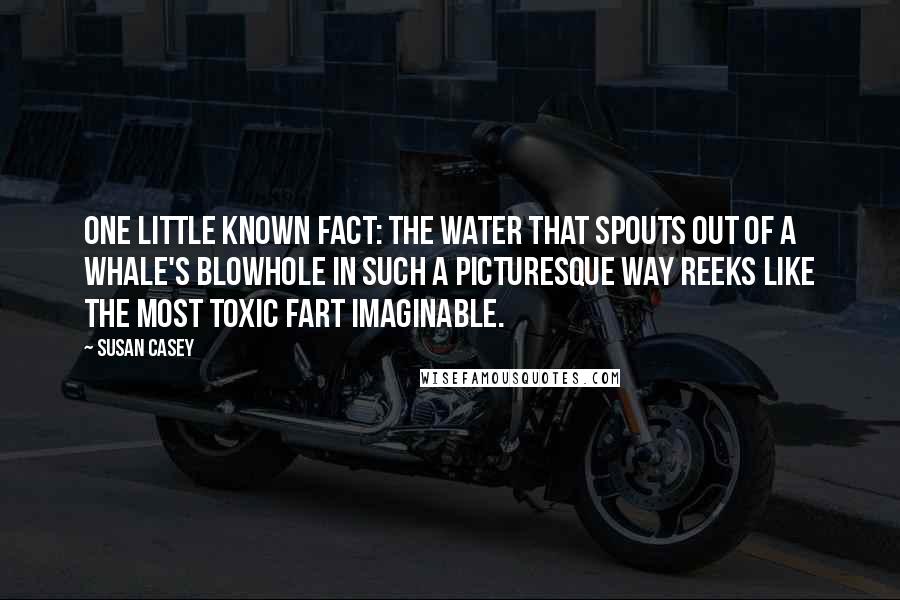 Susan Casey Quotes: One little known fact: The water that spouts out of a whale's blowhole in such a picturesque way reeks like the most toxic fart imaginable.