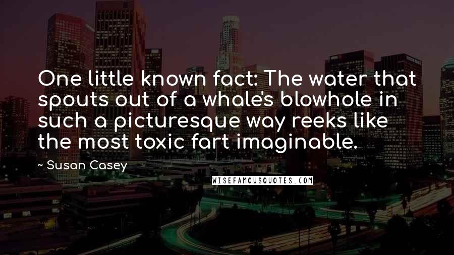 Susan Casey Quotes: One little known fact: The water that spouts out of a whale's blowhole in such a picturesque way reeks like the most toxic fart imaginable.