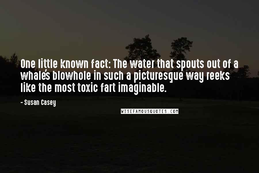 Susan Casey Quotes: One little known fact: The water that spouts out of a whale's blowhole in such a picturesque way reeks like the most toxic fart imaginable.